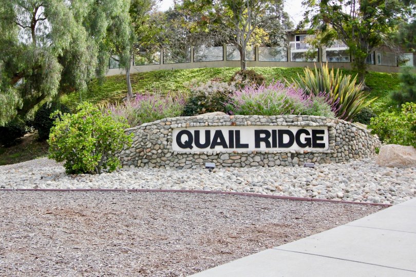 A fiew of the front of Quail Ridge park with many flowera