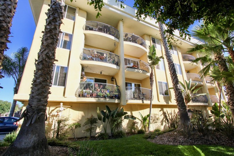 A low-rise condo units in Bayview Condos community with curved terraces and large pine trees.