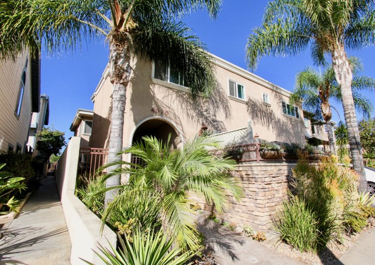 A beautiful home shaded by large palm trees at Crown Morrell in Pacific Beach, California