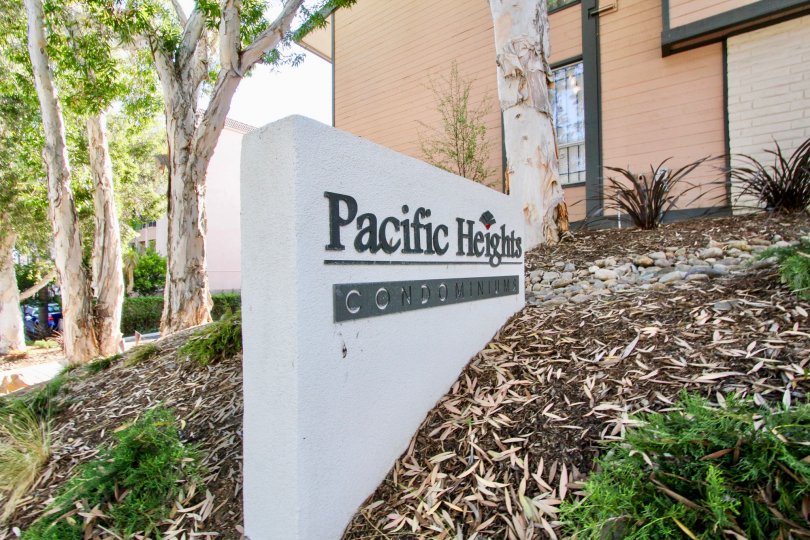 A sunny day in the area of Pacific Heights, condo sign, trees, outside, windows