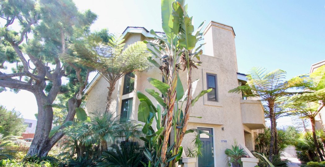 Entry door with tall pines and palms at the Promontory Townhomes in Pacific Beach, California