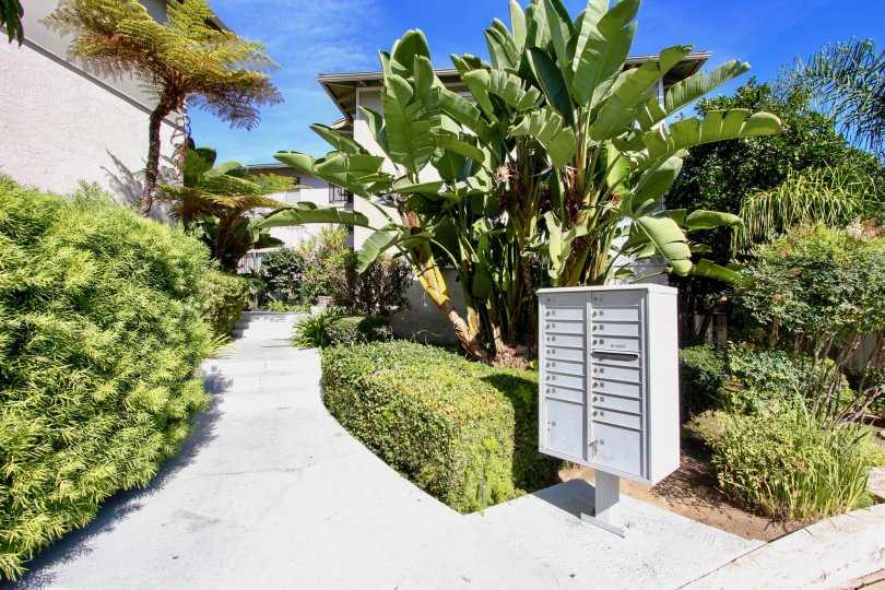 A set of gray mail boxes next to a jungle walkway at the Scott House in Pacific Beach CA