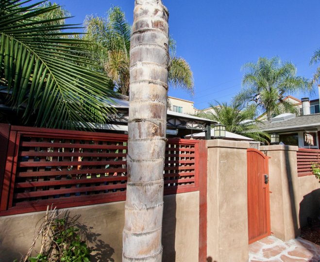 A sunny day in front of a house with palm trees and nicely designed gate in sunblend of Pacific Beach