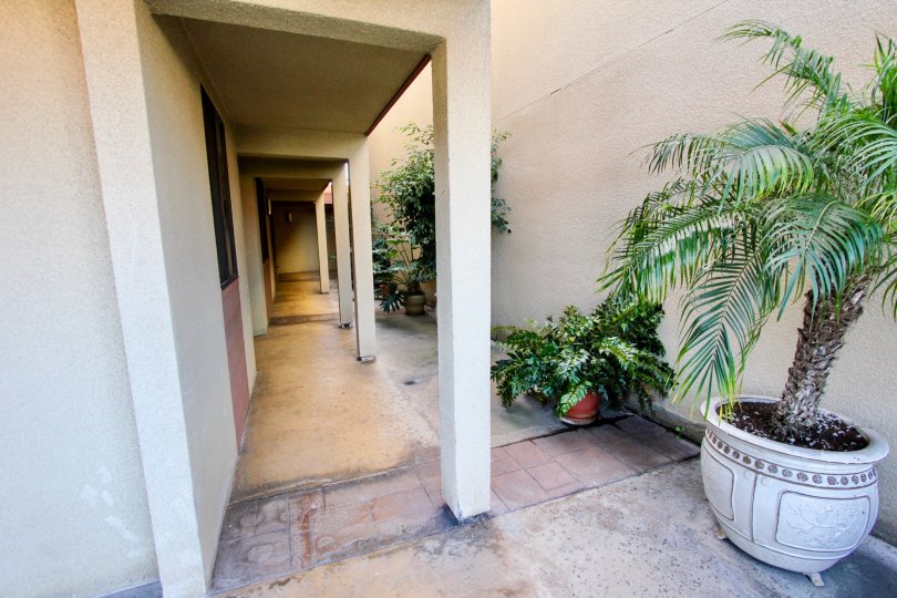 Arched walkways leading to doorways at Addison Street, Point Loma
