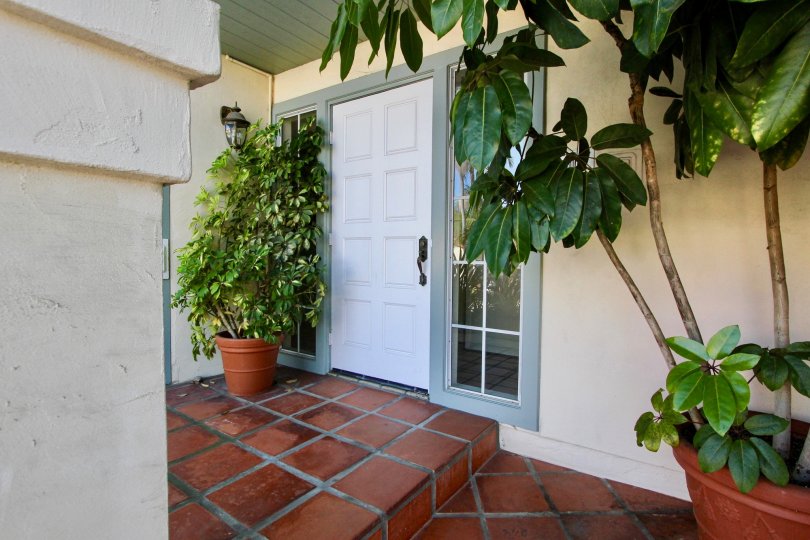 A close up shot of a front porch with Shrubbery in the La Playa Blanca community.