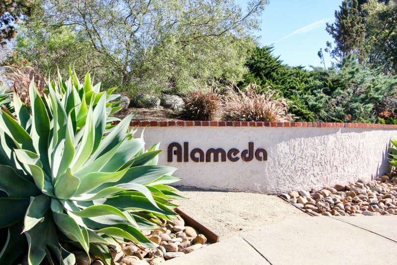 On sunny day, In Alameda with bushes and natural scenery