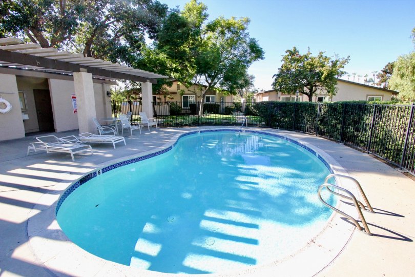 A swimming pool in Rancho Bernardo California whit trees