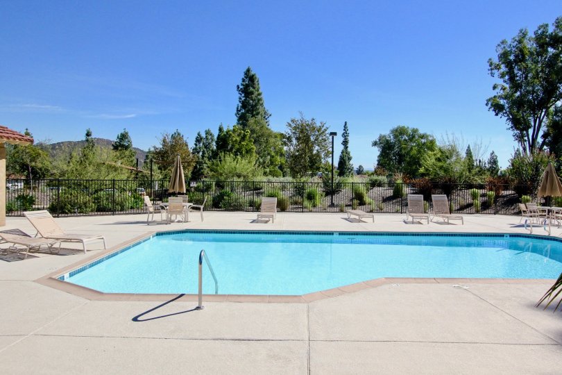 Crystal clear pool surrounded by beautiful greenery and lawn chairs in Bernardo Greens, Rancho Bernardo, California.