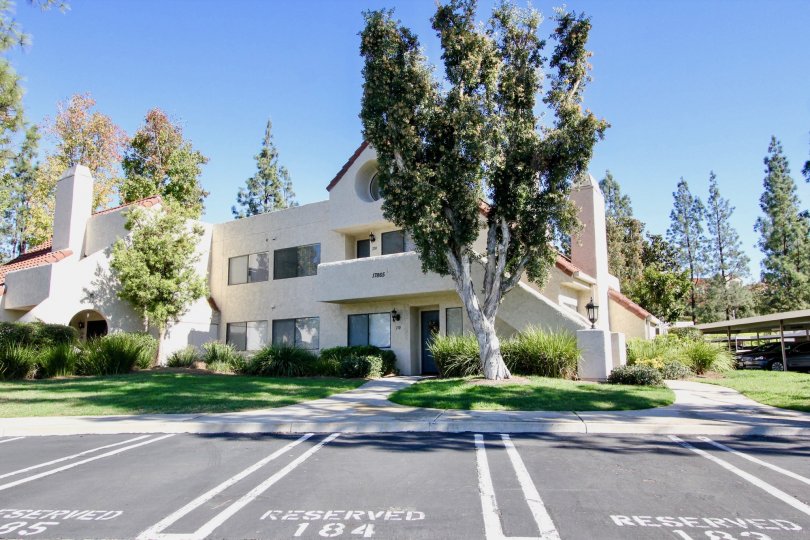 Bernardo Pines locality at Rancho Bernardo, California showing the full featured parking at the front of a building.