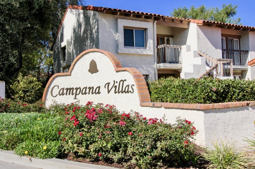 Beautiful day outside of the Campana Villas with lots of greenery surrounding the apartments.