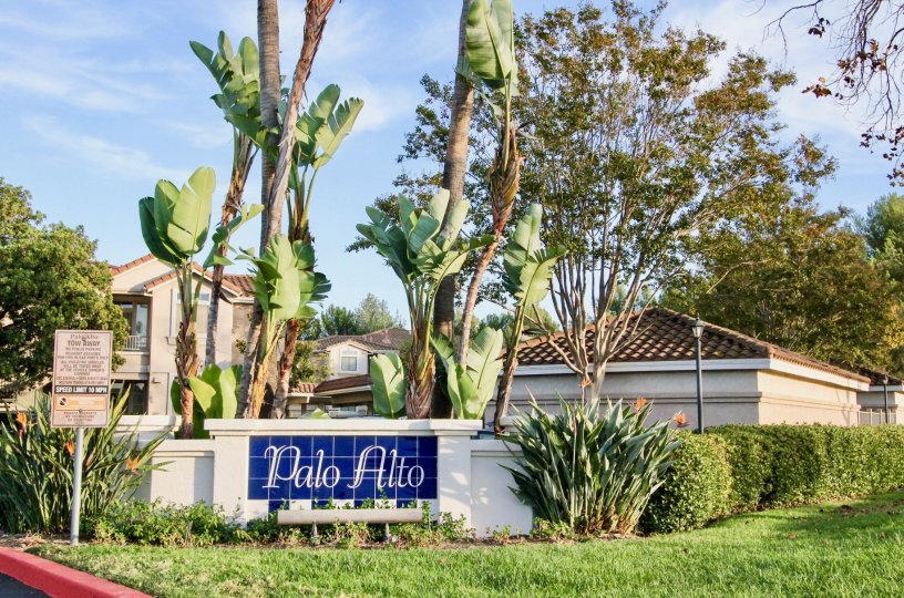 Blue sign in front of Palo Alto in Rancho Bernardo CA