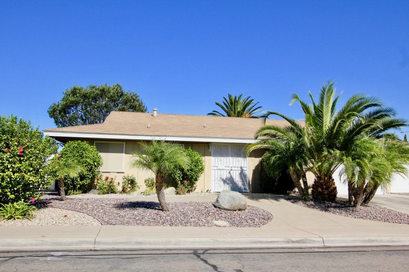 One story house with several palm trees and stone garden in Seven Oaks