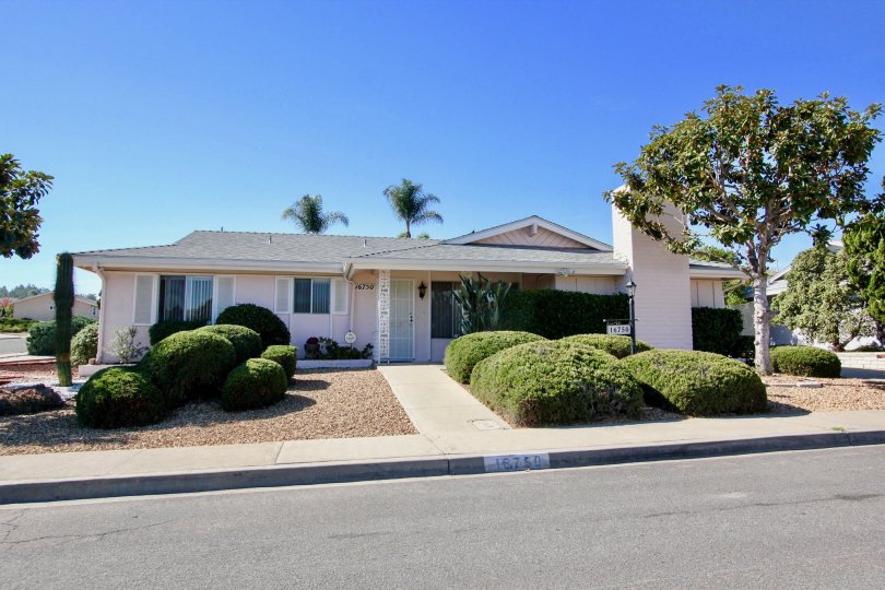 Side of the villa in seven Oaks has cutted bushes and trees