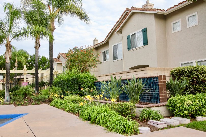 The exterior of California Mariposa with gorgeous palm trees and gardens