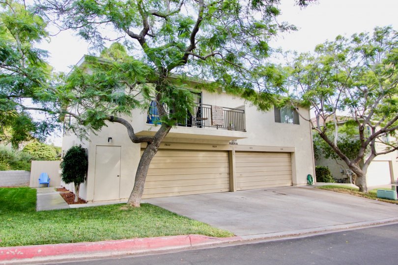 Beautiful affordable and close proximity to the campus of the University of California, San Diego