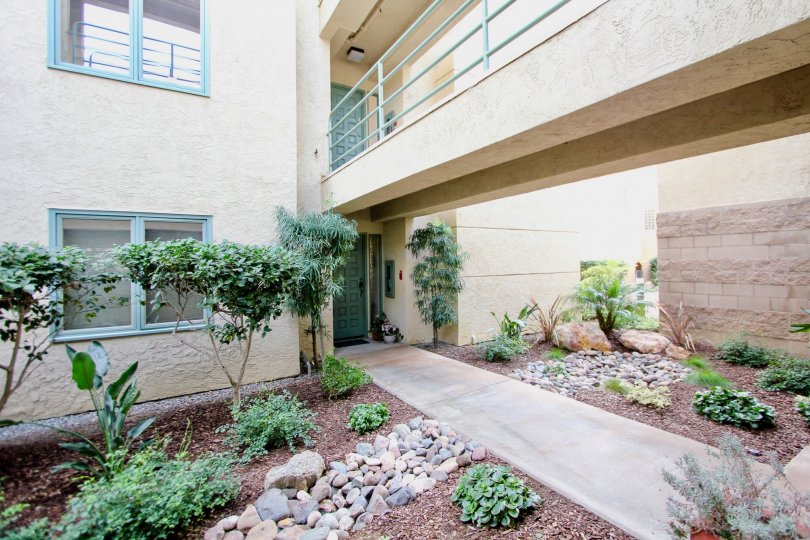 THE APARTMENT IN THE LA JOLLA CITY CLUB WITH THE PLANTS, ROCK, STONES.