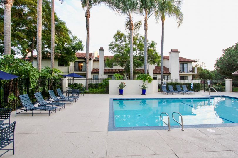A clear blue swimming pool with four sunning chairs inside Las Palmas in University City ca