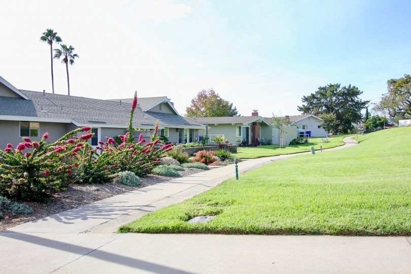 Driveway near housing and hillside at Pennant Village in University City California
