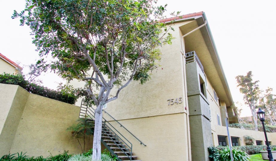 Two story housing with attached staircase and tree at Verano in University city California