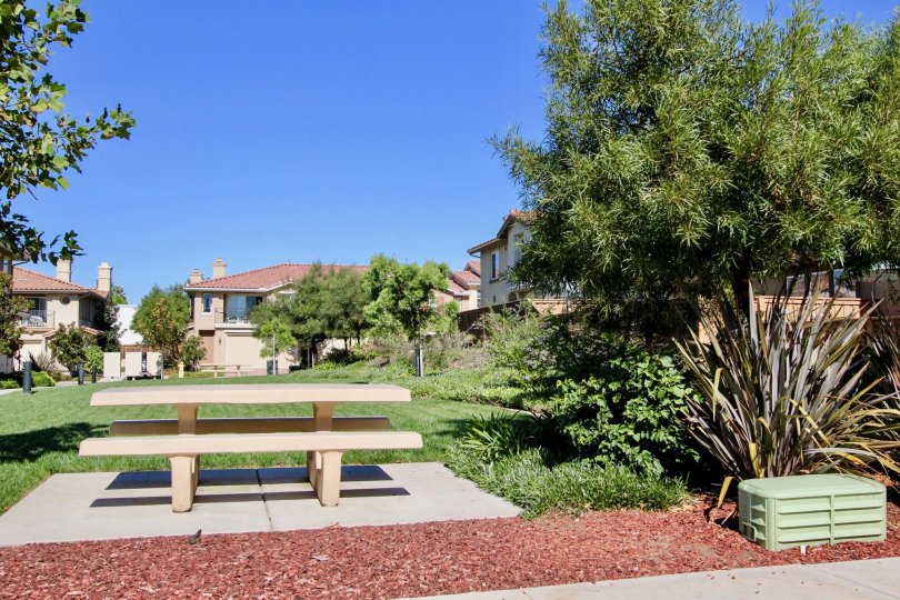 Oak Drive Villas  , Vista  ,California, blue sky,plants