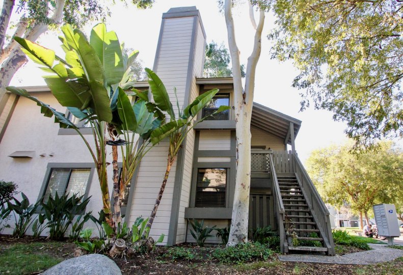 Stairway attached to a residence with trees at Shadowridge Club View in Vista California