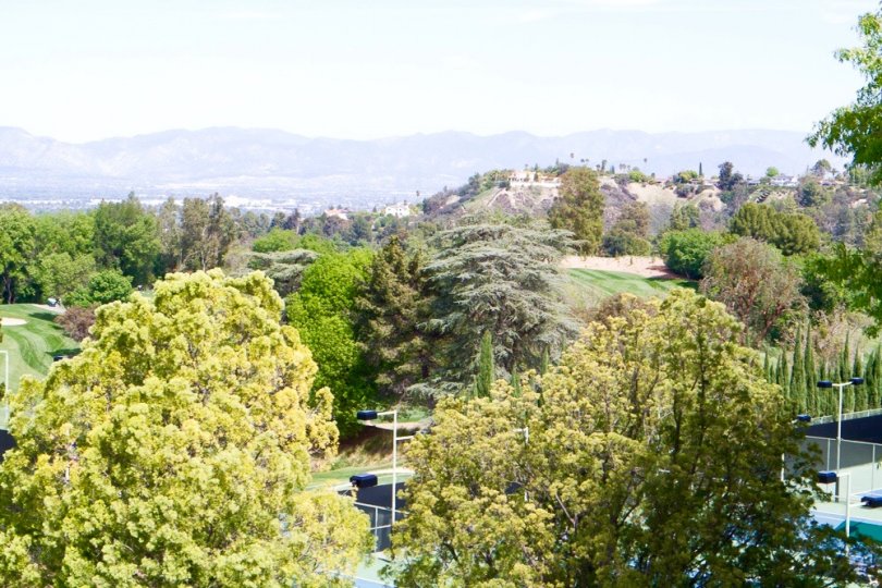 Mulholland Park Community Photos Mulholland Park, Tarzana CA