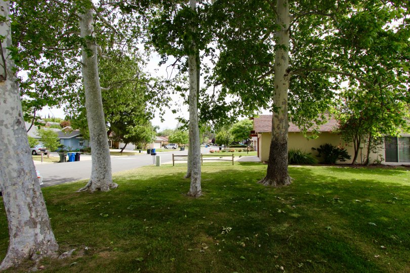 Lake Village Community Photos Lake Village, Temecula CA Lake Village Photo Tour