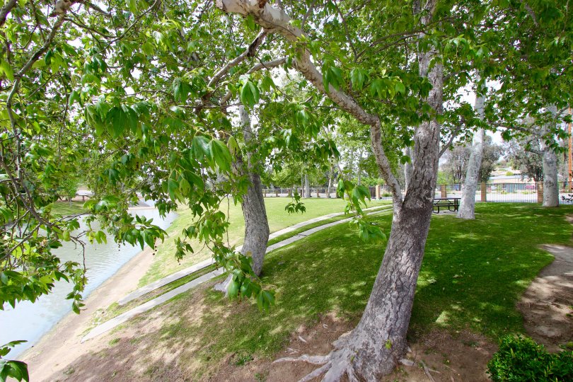 Lake Village Community Photos Lake Village, Temecula CA Lake Village Photo Tour