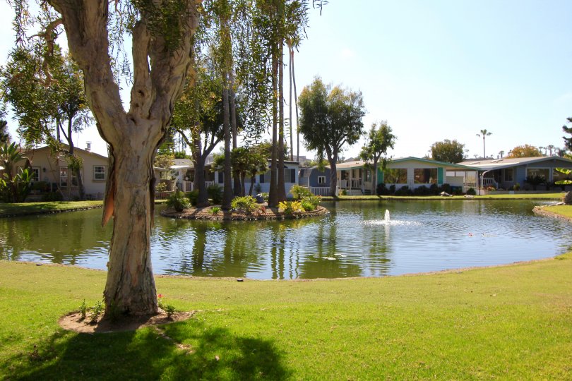 Lakeshore Gardens Community Photos Lakeshore Gardens, Carlsbad CA