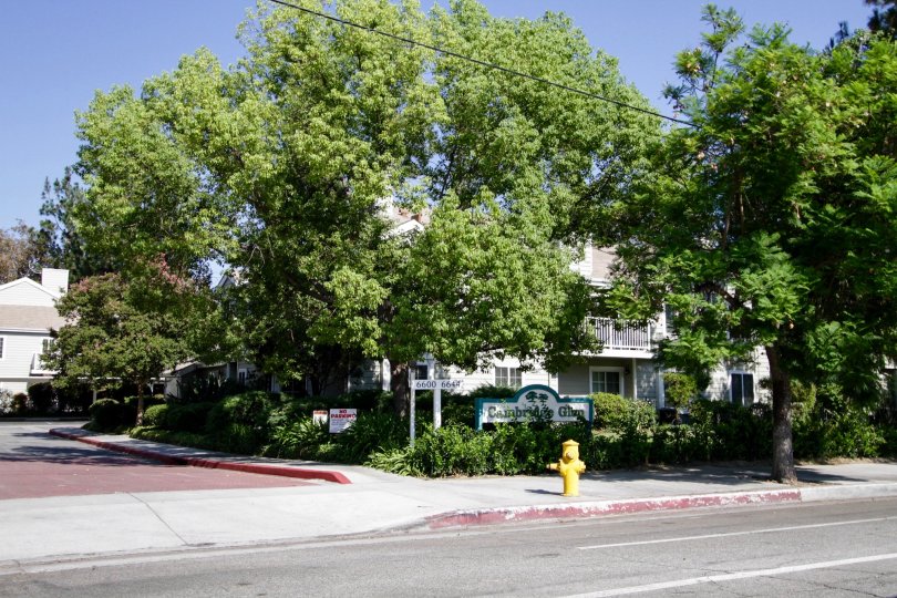 Cambridge Glen - North Hollywood CA