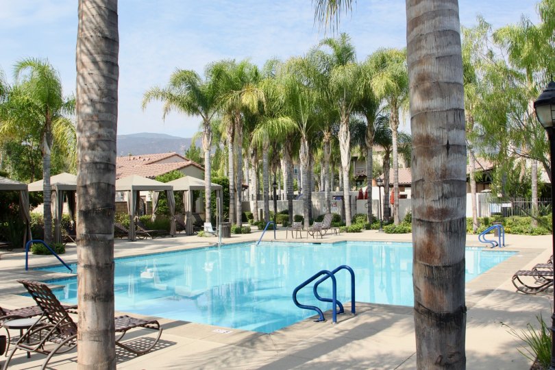 Shady Grove Condos, Lofts & Townhomes For Sale Shady Grove Real