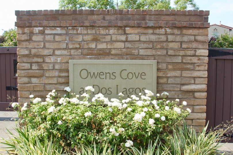Shady Grove Condos, Lofts & Townhomes For Sale Shady Grove Real