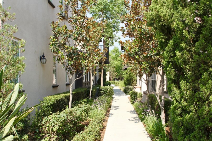 Shady Grove Condos, Lofts & Townhomes For Sale Shady Grove Real