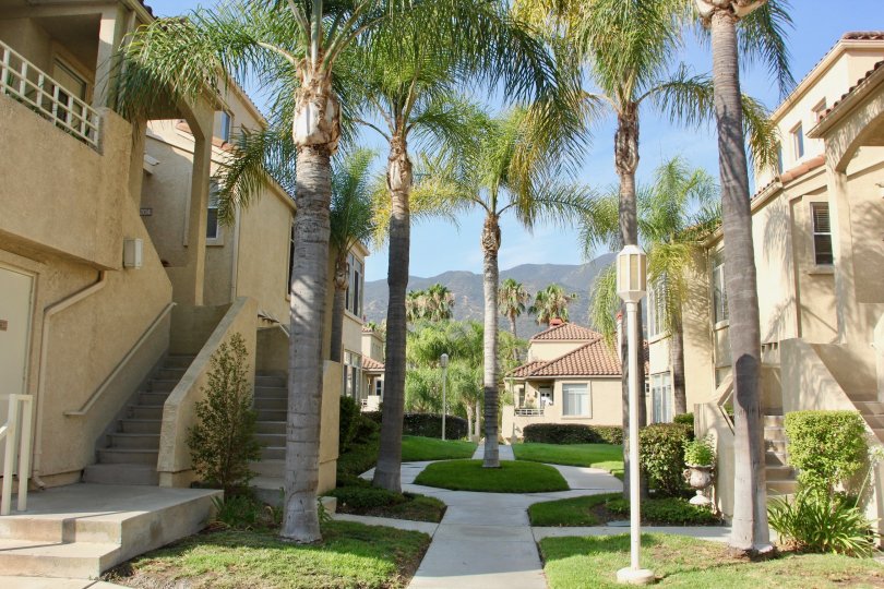 The Terraces at Sierra Del Oro Condos, Lofts & Townhomes For Sale The