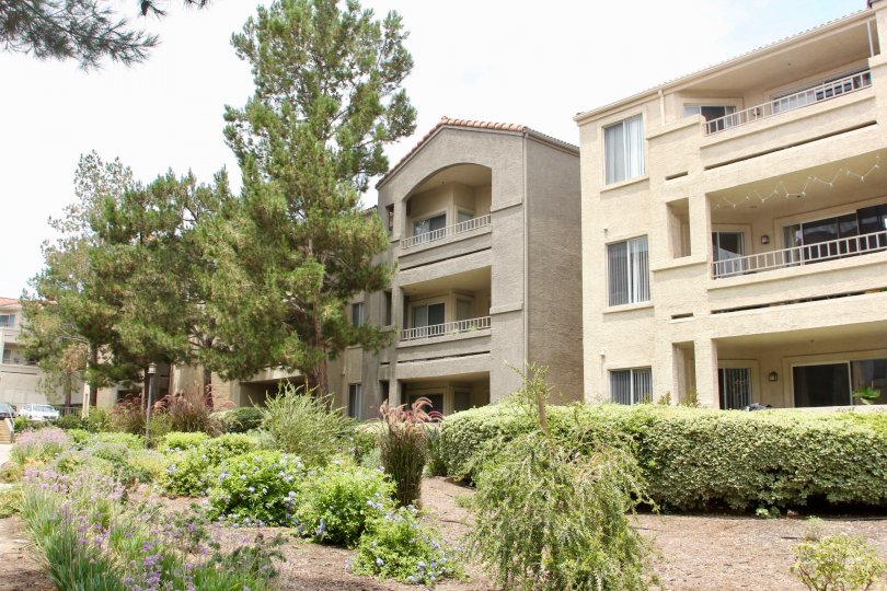 Triana at Corona Ranch Condos, Lofts & Townhomes For Sale Triana at