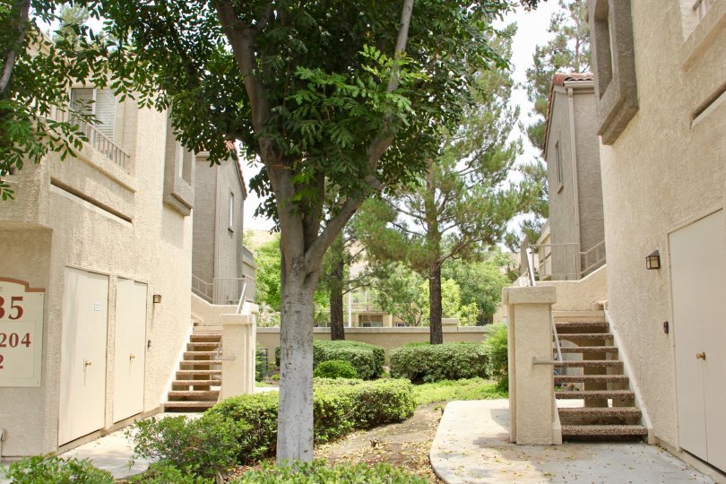 Triana at Corona Ranch Condos, Lofts & Townhomes For Sale Triana at Corona Ranch Real Estate