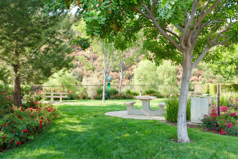 Trilogy at Glen Ivy Condos, Lofts & Townhomes For Sale Trilogy at