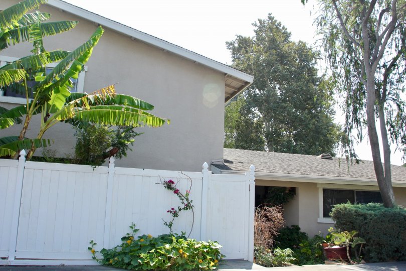 Village Grove Four Plex Condos, Lofts & Townhomes For Sale Village Grove Four Plex Real Estate