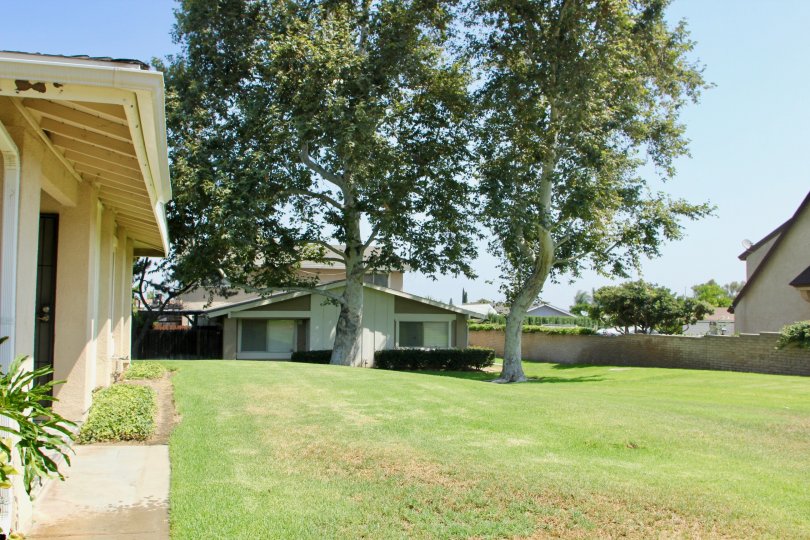 Village Grove Four Plex Condos, Lofts & Townhomes For Sale Village Grove Four Plex Real Estate