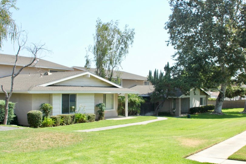 Village Grove Four Plex Condos, Lofts & Townhomes For Sale Village Grove Four Plex Real Estate