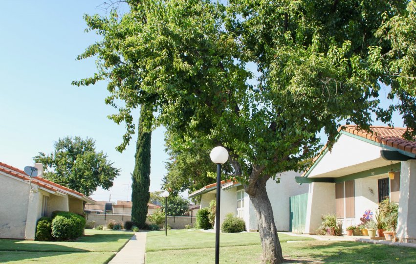 Echo Hills Condos, Lofts & Townhomes For Sale Echo Hills Real Estate