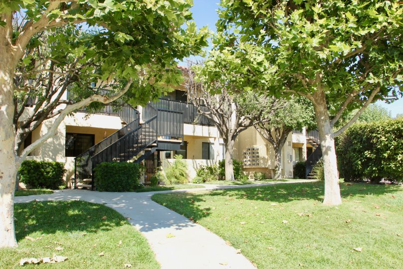 Lincoln View Condos, Lofts & Townhomes For Sale Lincoln View Real