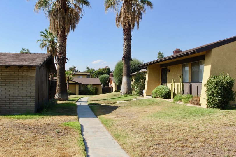 Pepper Tree Villas Condos, Lofts & Townhomes For Sale Pepper Tree