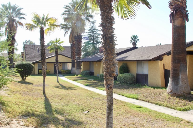 Pepper Tree Villas Condos, Lofts & Townhomes For Sale Pepper Tree