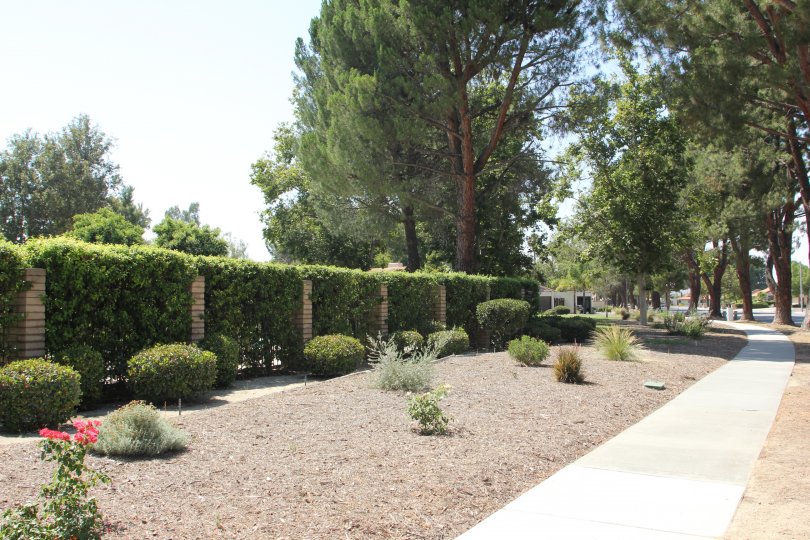 Seven Hills Condos, Lofts & Townhomes For Sale Seven Hills Real