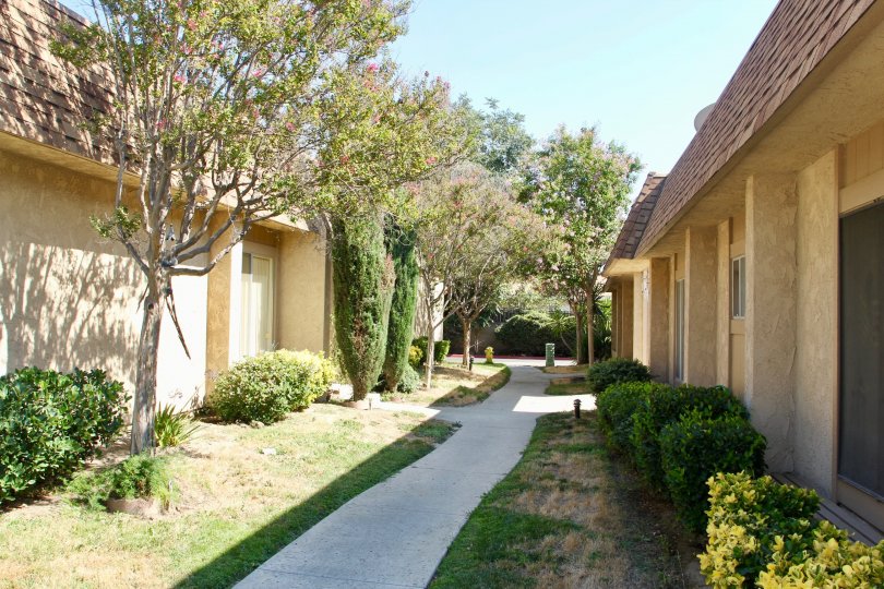 Sunrise Village Condos, Lofts & Townhomes For Sale ...
