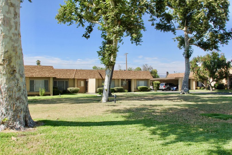 Sunrise Village Condos, Lofts & Townhomes For Sale Sunrise Village