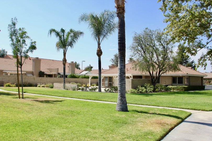 Terra Linda Village Condos, Lofts & Townhomes For Sale Terra Linda