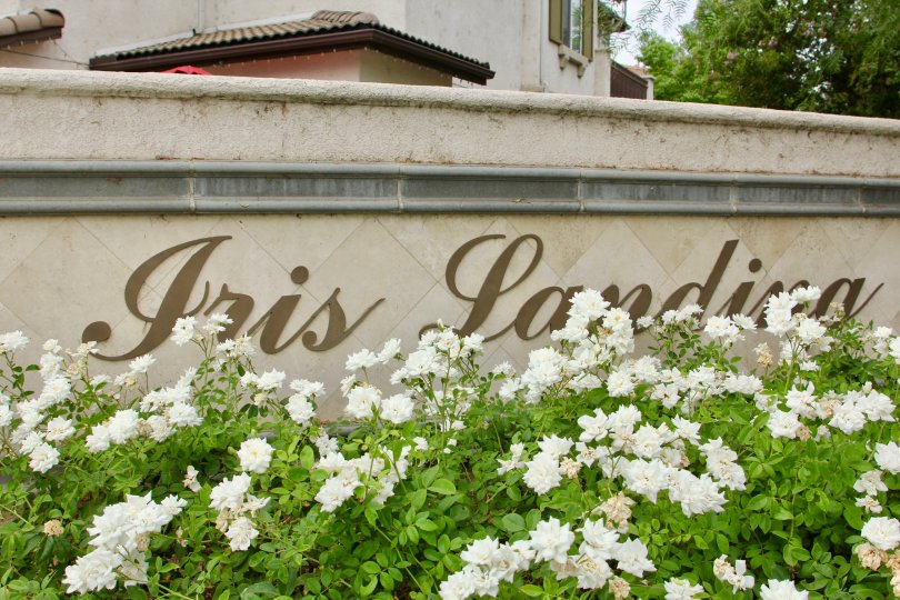 Iris Landing Condos, Lofts & Townhomes For Sale Iris Landing Real