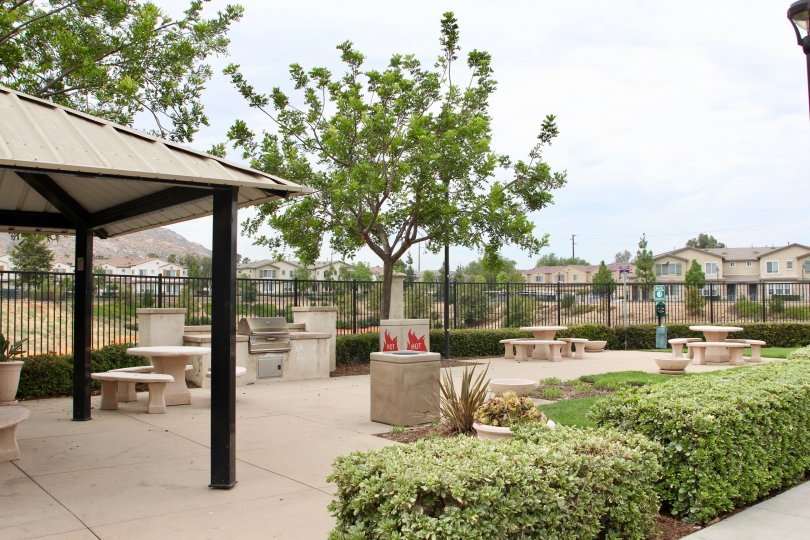 Iris Landing Condos, Lofts & Townhomes For Sale Iris Landing Real